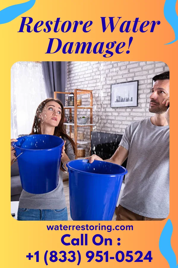 water restoration Coastal Mitigation Company Barnard